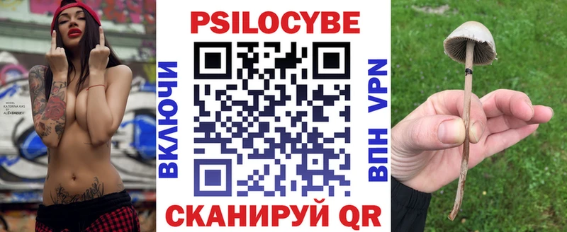 Псилоцибиновые грибы GOLDEN TEACHER дарк нет как зайти Ардон продажа наркотиков